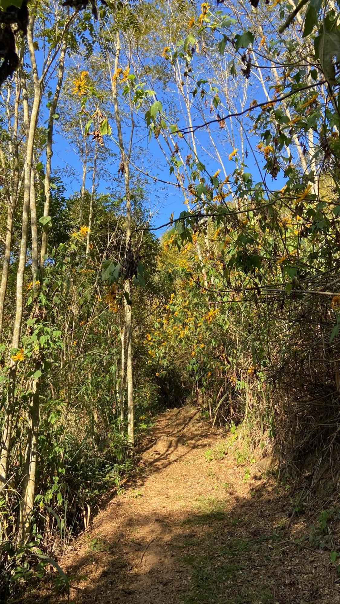 Chale Laranja - Sitio Caldeirao Villa Posse  ภายนอก รูปภาพ