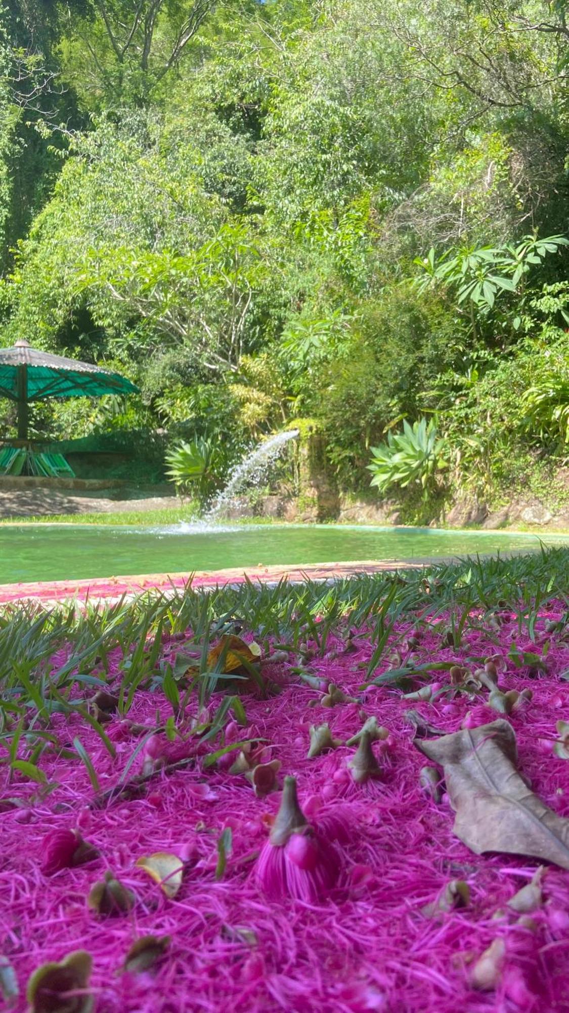Chale Laranja - Sitio Caldeirao Villa Posse  ภายนอก รูปภาพ